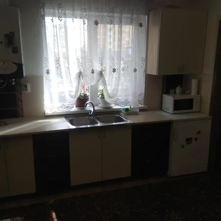 Apartment двохповерховий будинок з двома апартаментами Truskavets